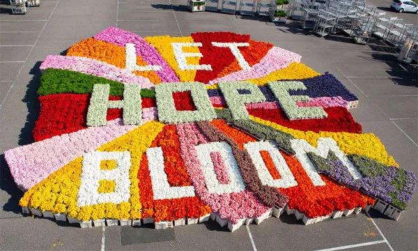 如何打造富有特色的乡村文创产品?(图10) 如何打造富有特色的乡村文创产品?(图10)