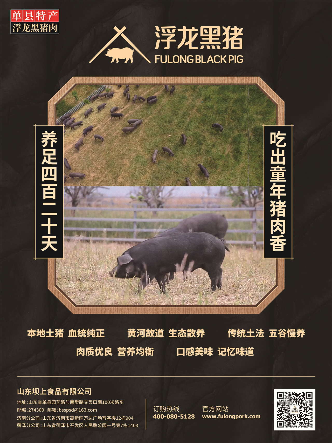 浮龙黑猪肉-品牌设计+VI设计(图4) 浮龙黑猪肉