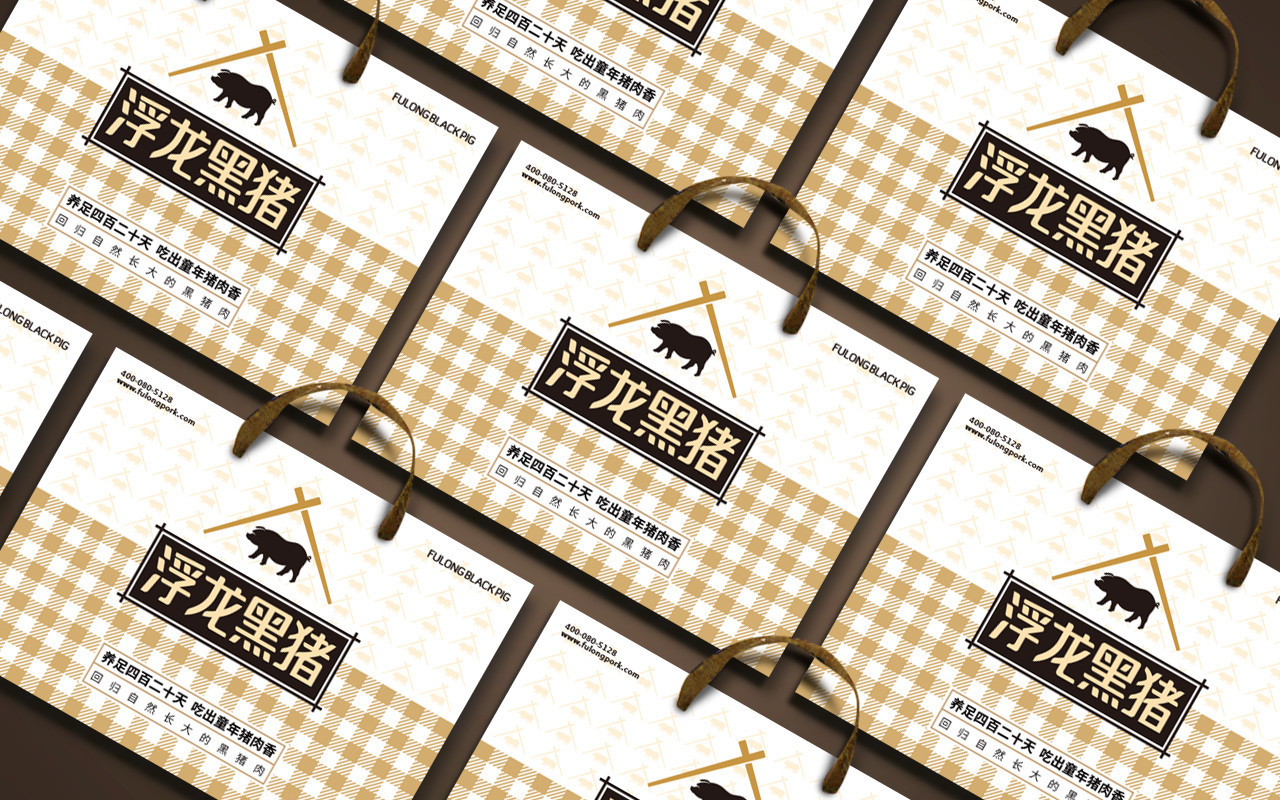 浮龙黑猪肉-品牌设计+VI设计(图1) 浮龙黑猪肉